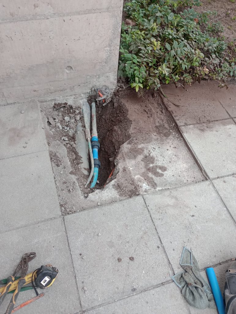 deteccion-y-reparacion1